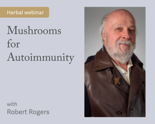 Mushrooms for Autoimmunity