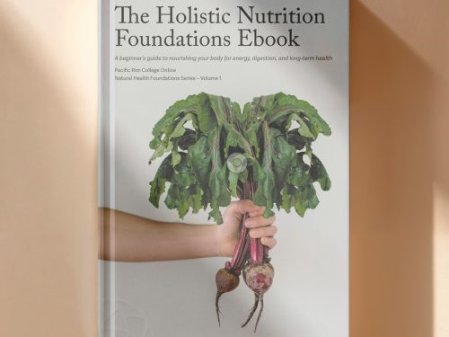 The Holistic Nutrition Foundations Ebook