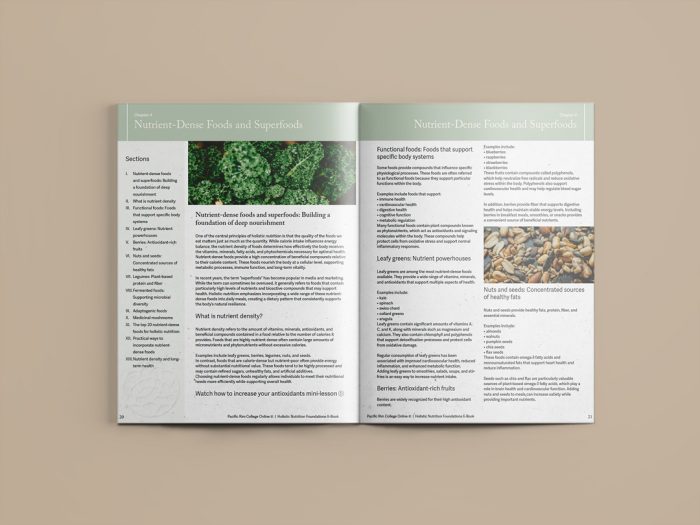 The Holistic Nutrition Foundations Ebook