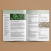 The Holistic Nutrition Foundations Ebook