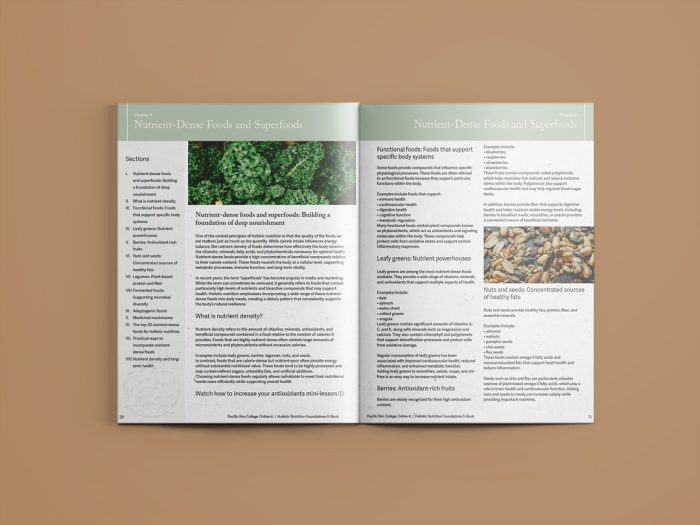 The Holistic Nutrition Foundations Ebook