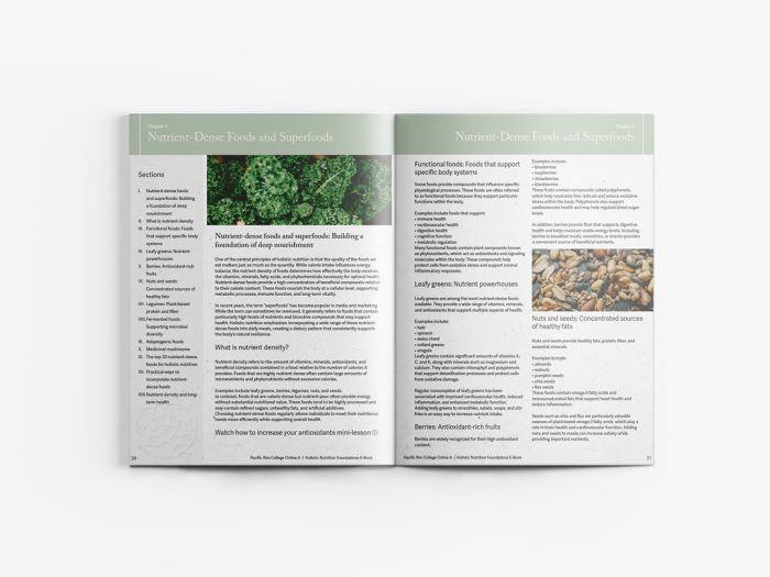 The Holistic Nutrition Foundations Ebook
