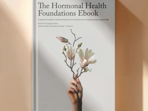 The Hormonal Health Foundations Ebook