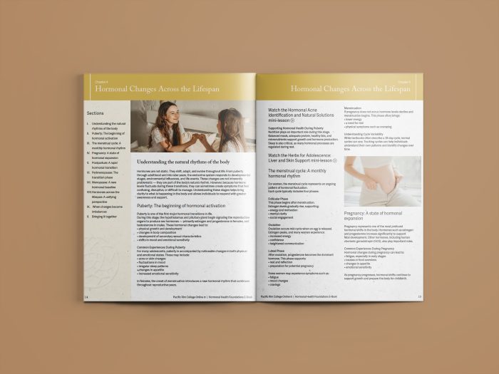 The Hormonal Health Foundations Ebook
