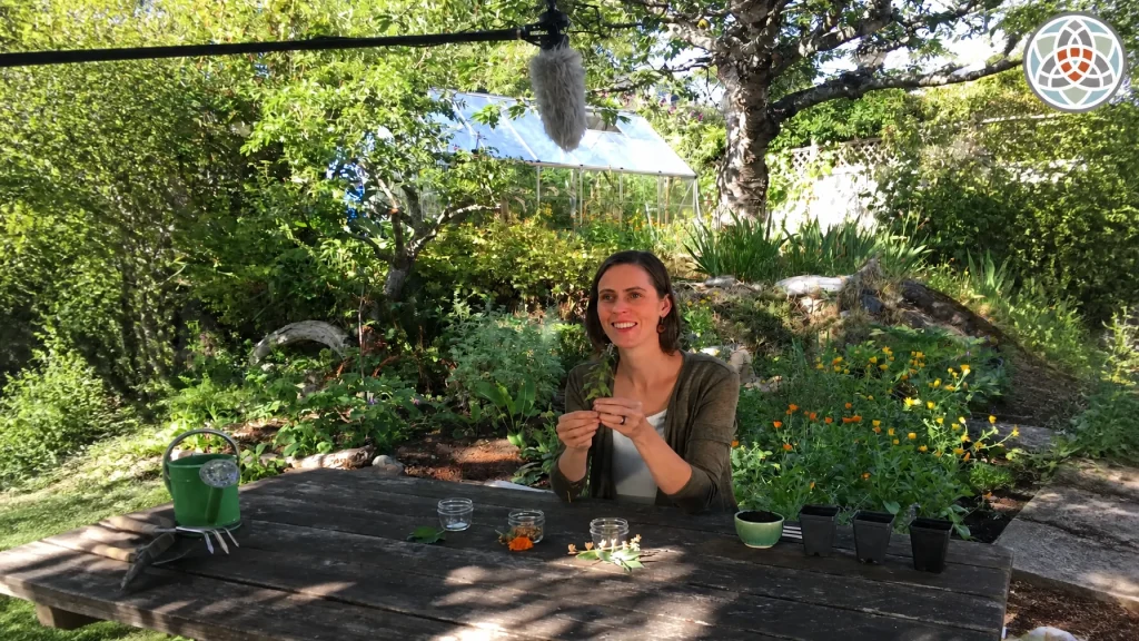 Medical Herbalist Lindsay Hounslow in the herb garden with many healing plants around her. She is getting ready to showcase the healing power of herbal medicine with Calendula blooming in the background.