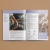 The Herbal Medicine Foundations Ebook