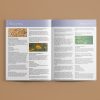 The Herbal Medicine Foundations Ebook