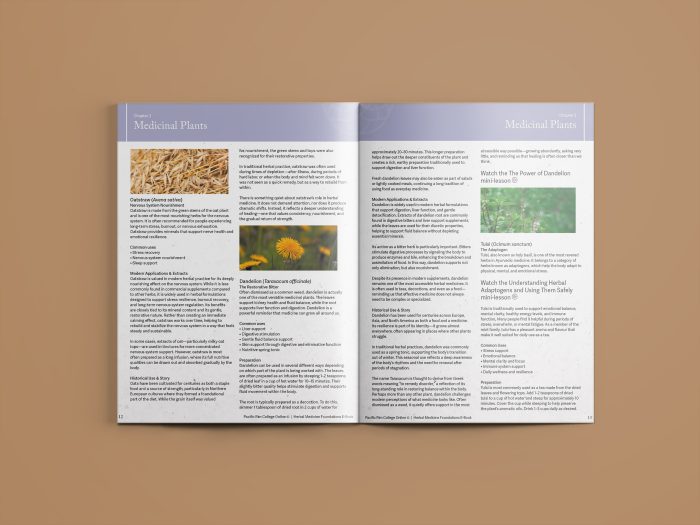 The Herbal Medicine Foundations Ebook