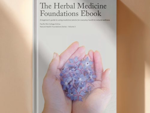 The Herbal Medicine Foundations Ebook