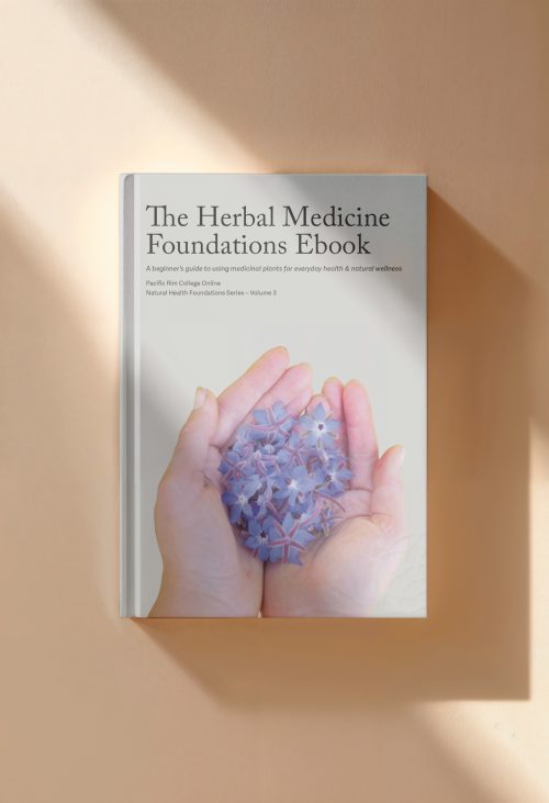 The Herbal Medicine Foundations Ebook